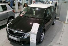 Skoda Fabia Dach weiss foliert AH Neustadt 2